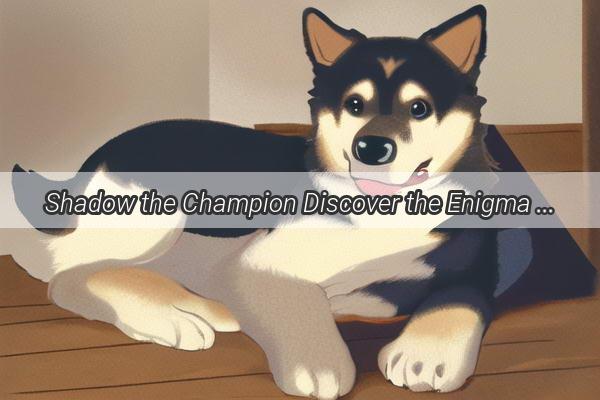 Shadow the Champion Discover the Enigma of a Black Canine Hero